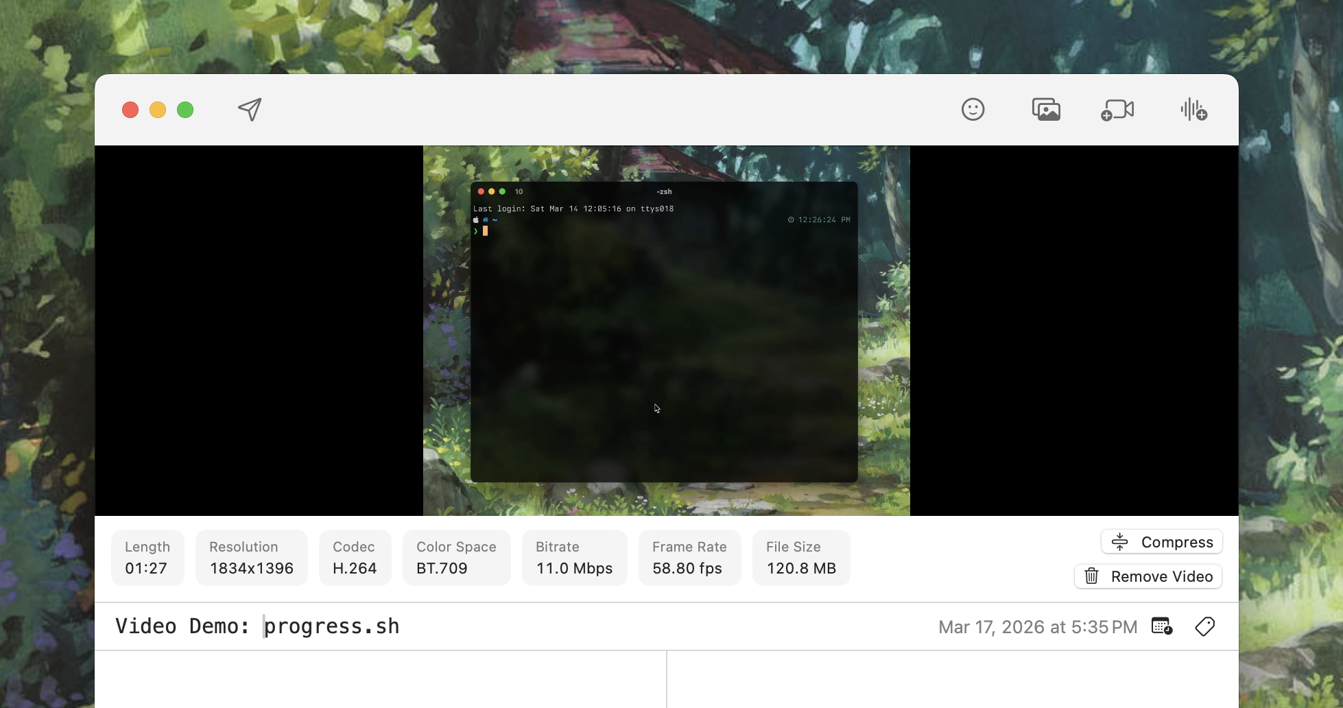 Video Info